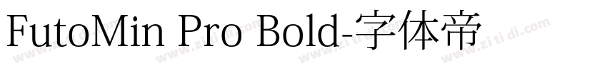 FutoMin Pro Bold字体转换
